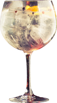 Copa de Balón - Gintonic